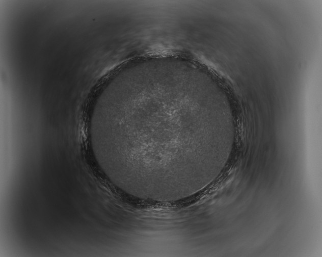 X0000094461206200711081318