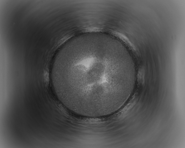 X0000094461209200711081318