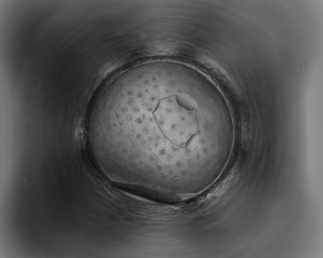 X0000094461210200711081318