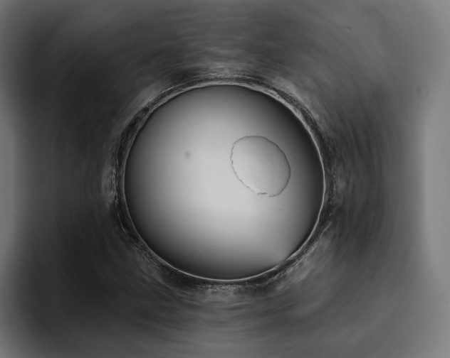 X0000094461211200711081318