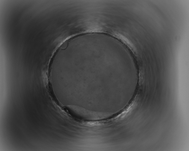 X0000094461212200711081318