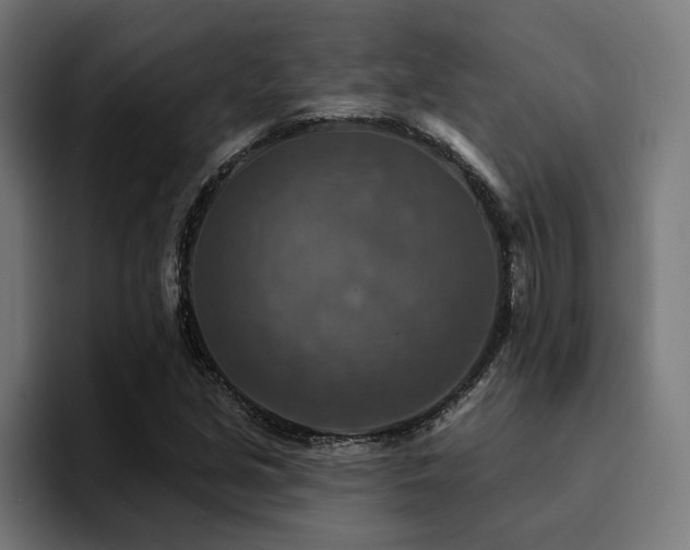 X0000094461213200711081318
