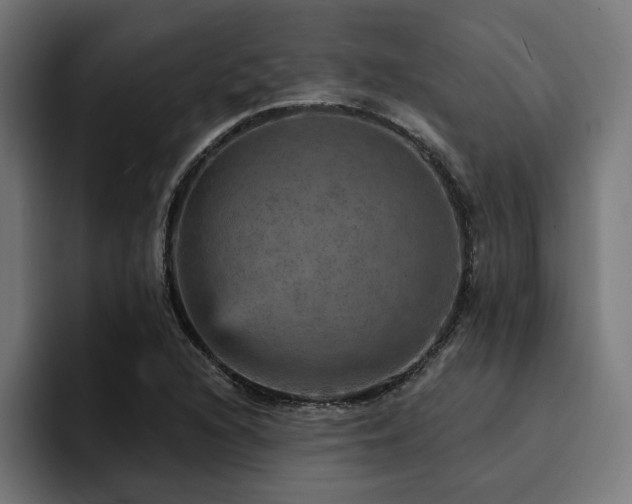 X0000094461216200711081318