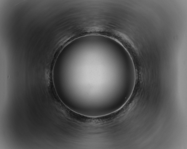 X0000094461217200711081318