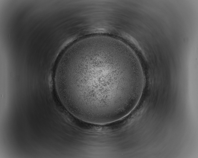 X0000094461218200711081318