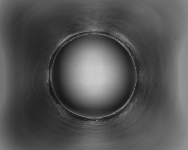 X0000094461220200711081318