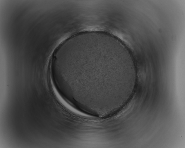X0000094461221200711081318
