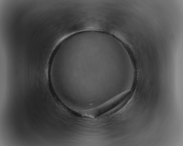 X0000094461222200711081318