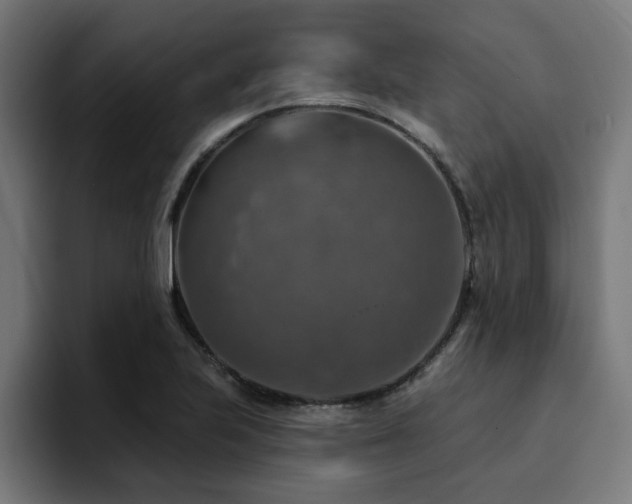 X0000094461223200711081318