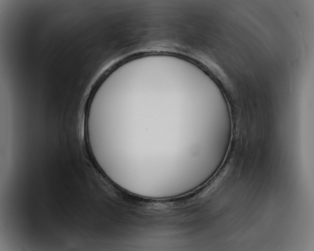 X0000094461224200711081318