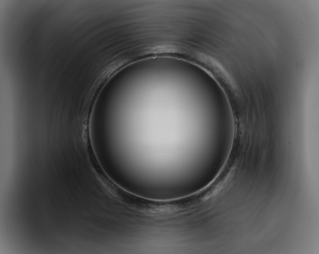 X0000094461225200711081319