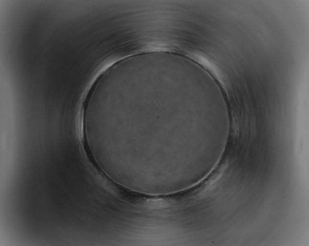 X0000094461227200711081319