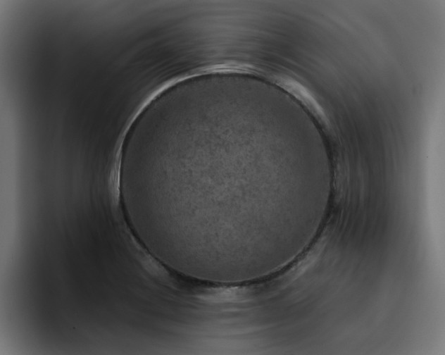 X0000094461228200711081319