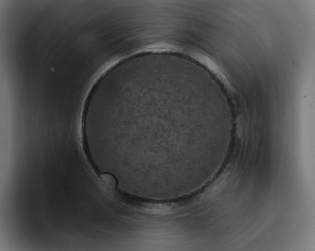 X0000094461229200711081319