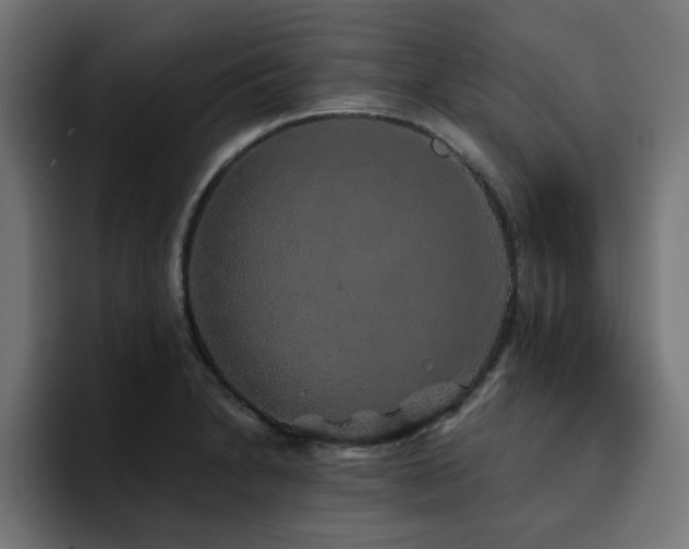 X0000094461230200711081319