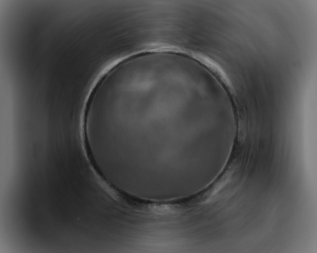 X0000094461231200711081319