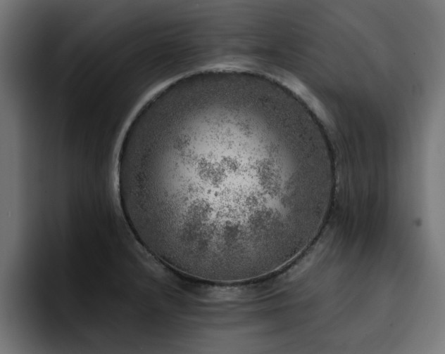X0000094461232200711081319