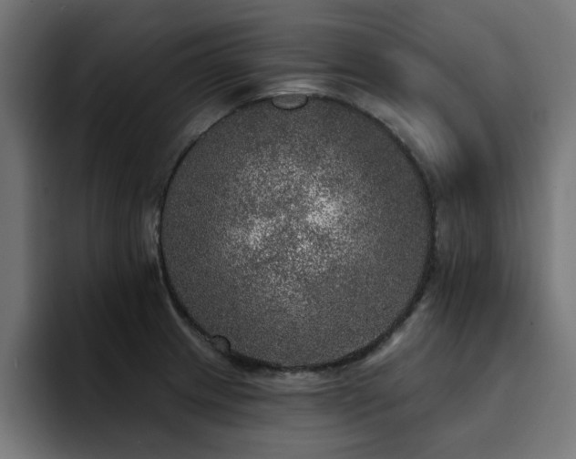 X0000094461233200711081319