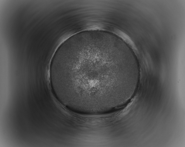 X0000094461234200711081319