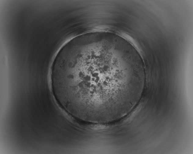X0000094461235200711081319