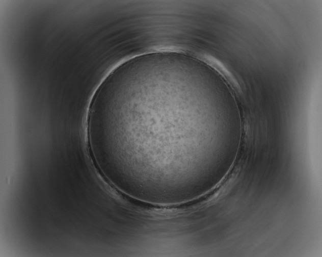 X0000094461236200711081319