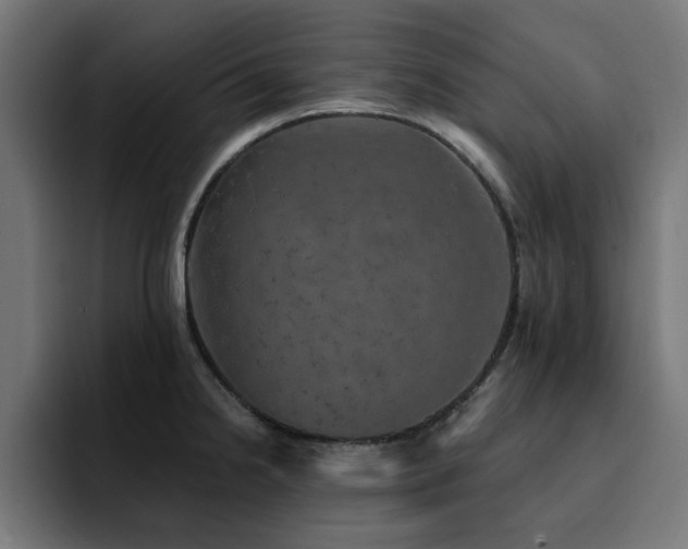 X0000094461238200711081319
