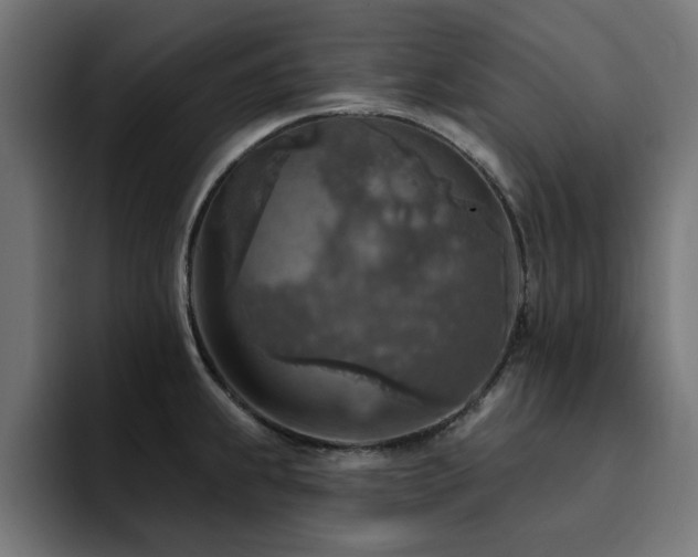 X0000094461239200711081319