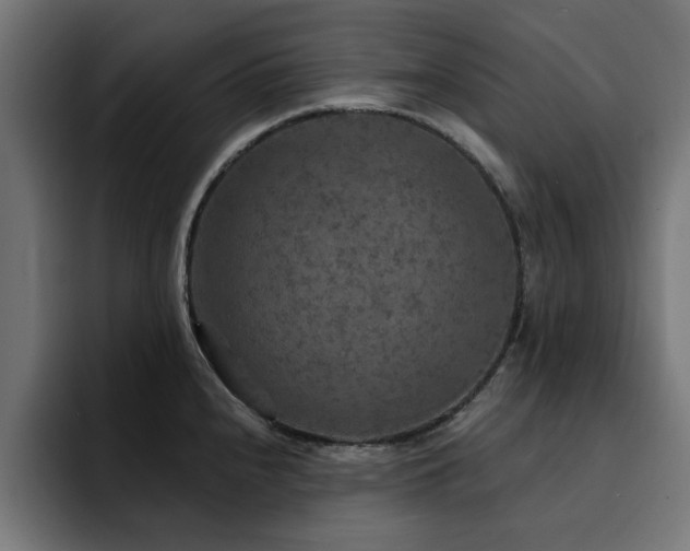 X0000094461240200711081319