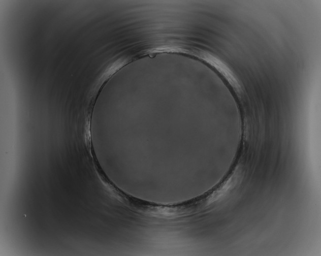 X0000094461241200711081319