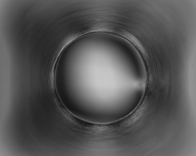 X0000094461242200711081319