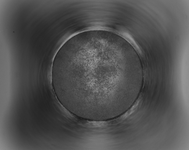 X0000094461244200711081319