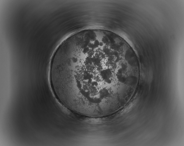 X0000094461245200711081319