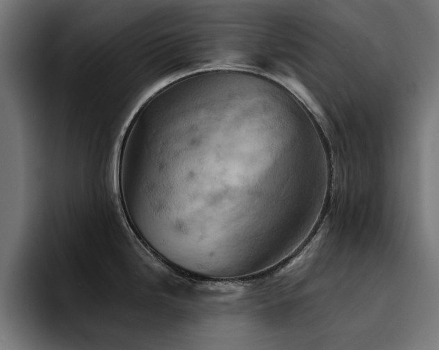 X0000094461246200711081319