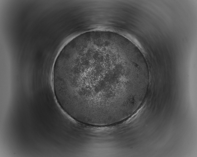 X0000094461247200711081319