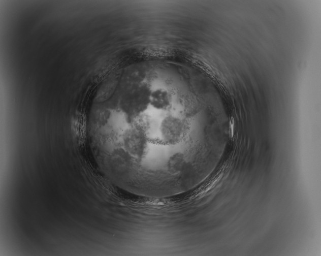 X0000094461251200711081318