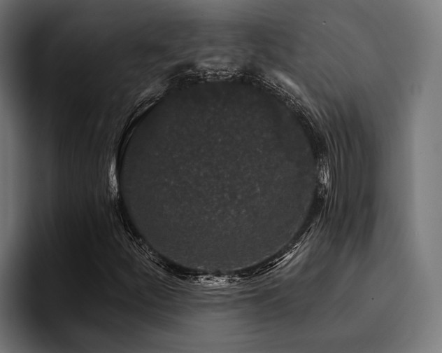X0000094461252200711081318
