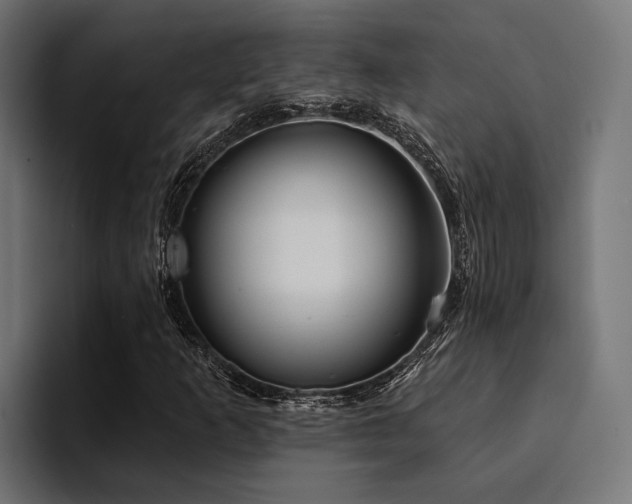 X0000094461253200711081318