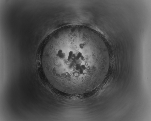 X0000094461255200711081318
