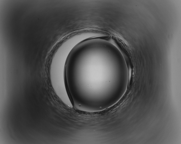 X0000094461256200711081318