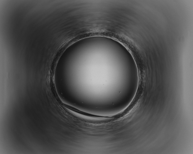 X0000094461257200711081318