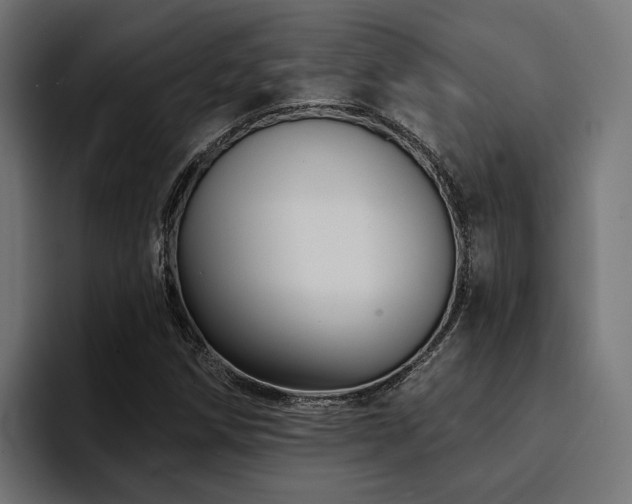 X0000094461258200711081318