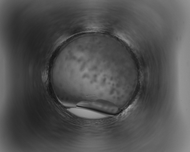 X0000094461259200711081318