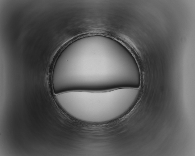 X0000094461260200711081318