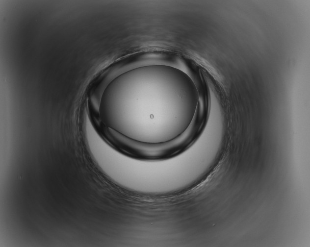X0000094461261200711081318