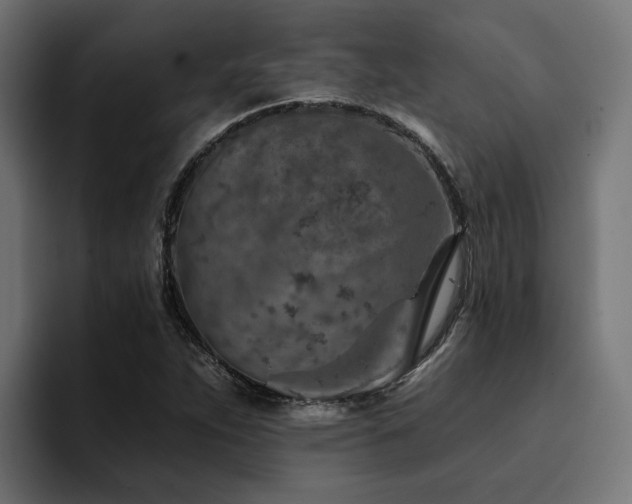 X0000094461263200711081318