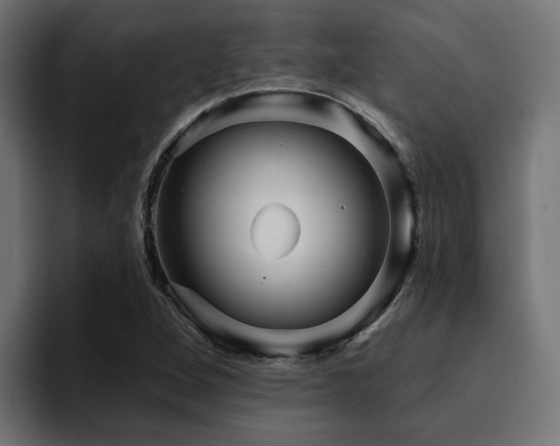 X0000094461264200711081318