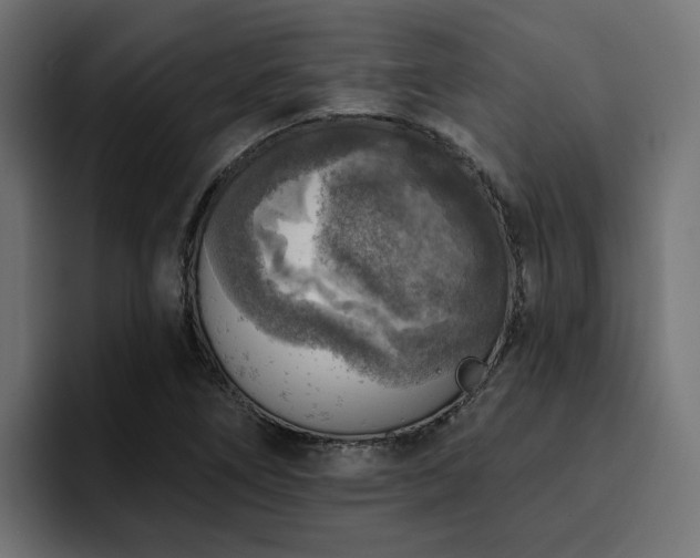 X0000094461266200711081318
