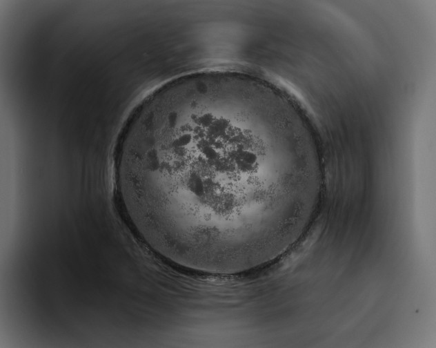 X0000094461267200711081318