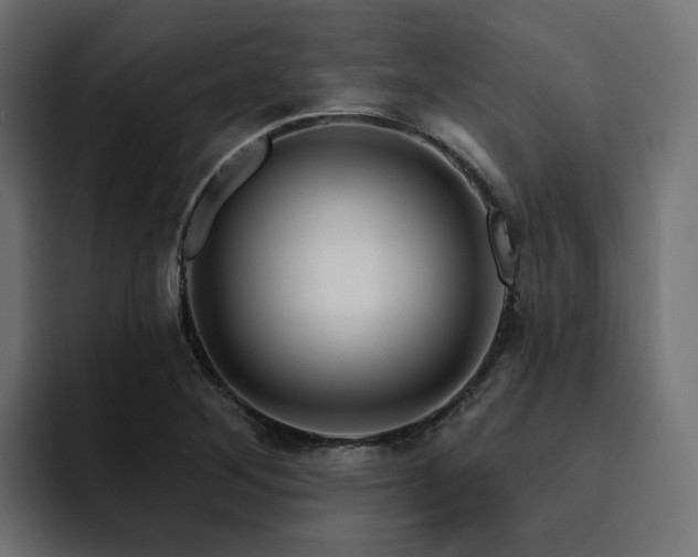 X0000094461268200711081318