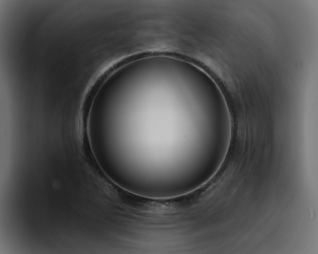 X0000094461270200711081318